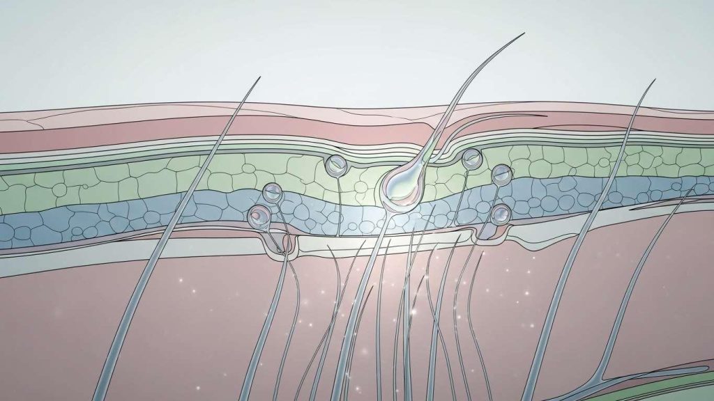chto takoe mezoterapija i kak ona rabotaet 3